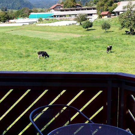 Apartma Julia Spodnje Gorje Zewnętrze zdjęcie